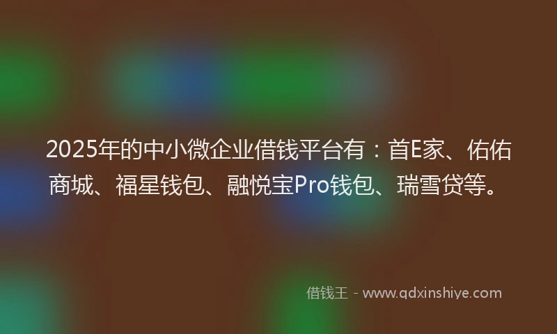 2025年的中小微企业借钱平台有：首E家、佑佑商城、福星钱包、融悦宝Pro钱包、瑞雪贷等。