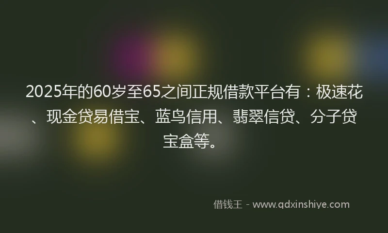 2025年的60岁至65之间正规借款平台有：极速花、现金贷易借宝、蓝鸟信用、翡翠信贷、分子贷宝盒等。
