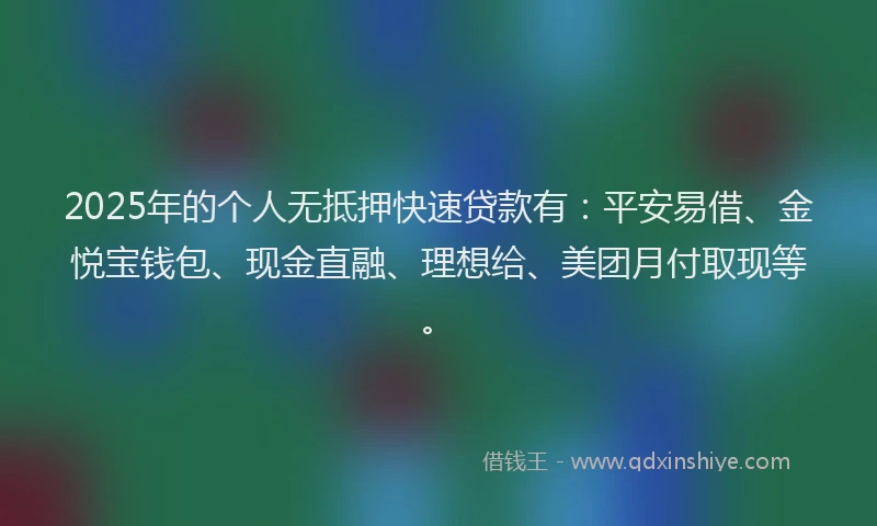 2025年的个人无抵押快速贷款有：平安易借、金悦宝钱包、现金直融、理想给、美团月付取现等。