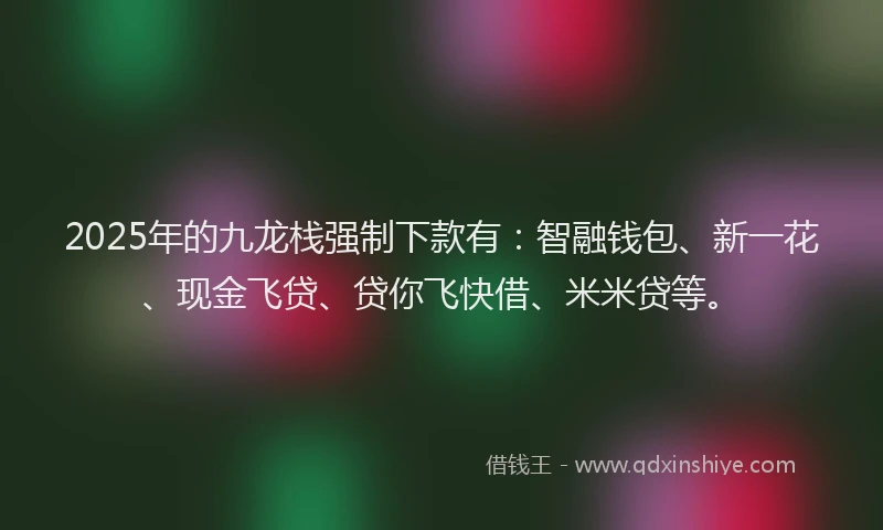 2025年的九龙栈强制下款有：智融钱包、新一花、现金飞贷、贷你飞快借、米米贷等。