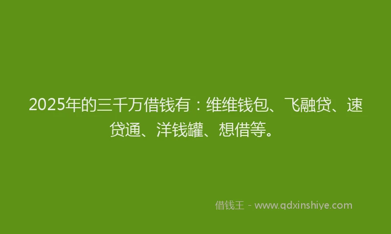 2025年的三千万借钱有：维维钱包、飞融贷、速贷通、洋钱罐、想借等。