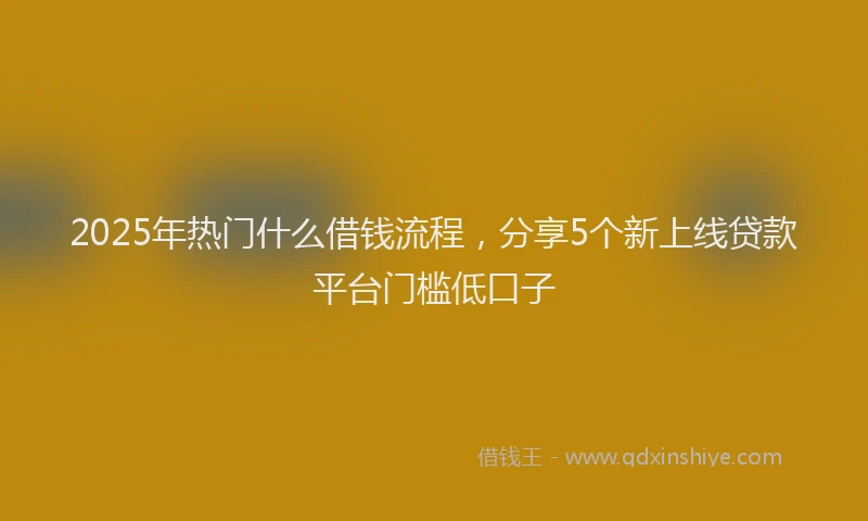 2025年热门什么借钱流程，分享5个新上线贷款平台门槛低口子