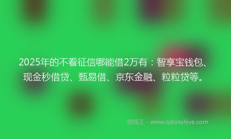 2025年的不看征信哪能借2万有：智享宝钱包、现金秒借贷、甄易借、京东金融、粒粒贷等。