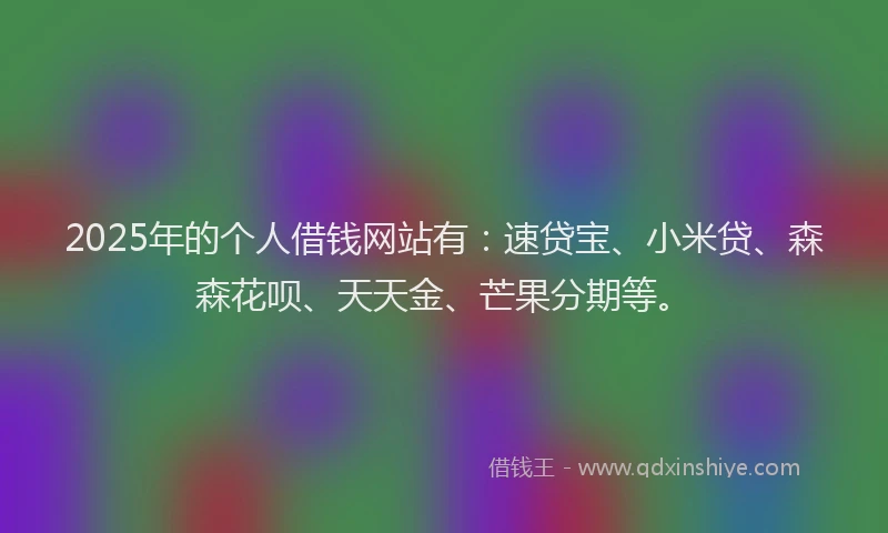 2025年的个人借钱网站有：速贷宝、小米贷、森森花呗、天天金、芒果分期等。