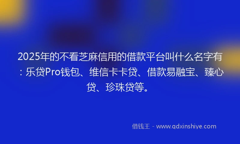 2025年的不看芝麻信用的借款平台叫什么名字有：乐贷Pro钱包、维信卡卡贷、借款易融宝、臻心贷、珍珠贷等。
