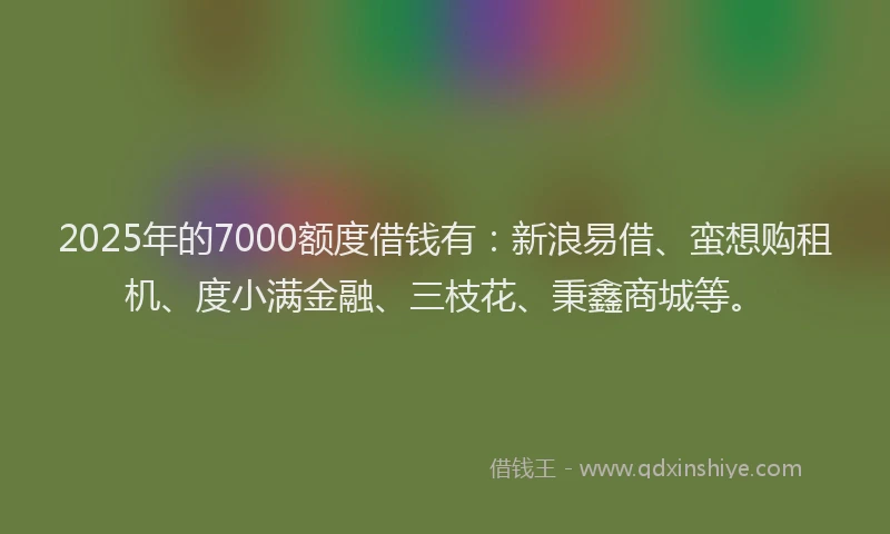 2025年的7000额度借钱有：新浪易借、蛮想购租机、度小满金融、三枝花、秉鑫商城等。