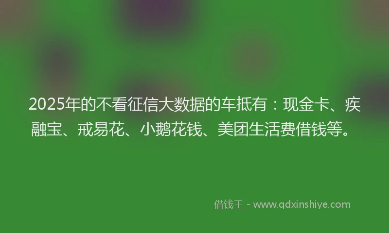 2025年的不看征信大数据的车抵有：现金卡、疾融宝、戒易花、小鹅花钱、美团生活费借钱等。