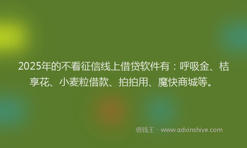 2025年的不看征信线上借贷软件有：呼吸金、桔享花、小麦粒借款、拍拍用、魔快商城等。