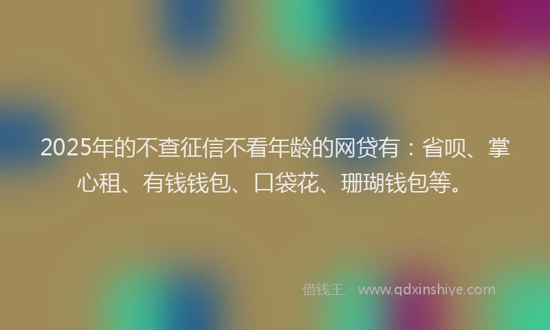 2025年的不查征信不看年龄的网贷有：省呗、掌心租、有钱钱包、口袋花、珊瑚钱包等。