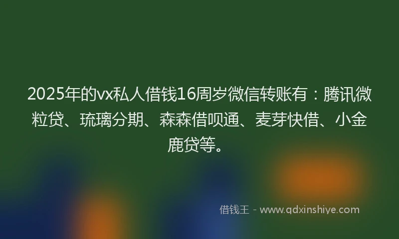 2025年的vx私人借钱16周岁微信转账有：腾讯微粒贷、琉璃分期、森森借呗通、麦芽快借、小金鹿贷等。