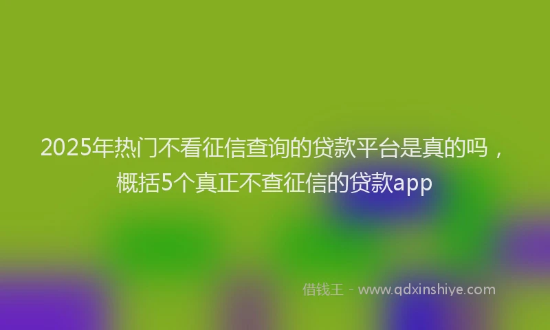 2025年热门不看征信查询的贷款平台是真的吗，概括5个真正不查征信的贷款app