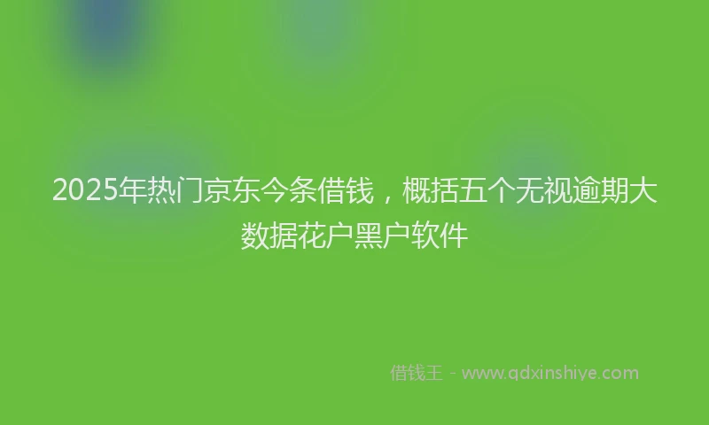2025年热门京东今条借钱，概括五个无视逾期大数据花户黑户软件