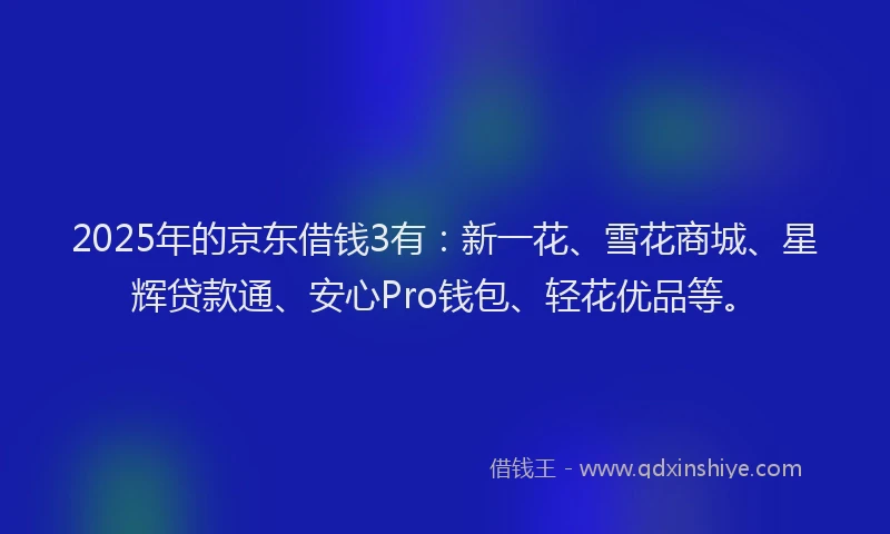 2025年的京东借钱3有：新一花、雪花商城、星辉贷款通、安心Pro钱包、轻花优品等。