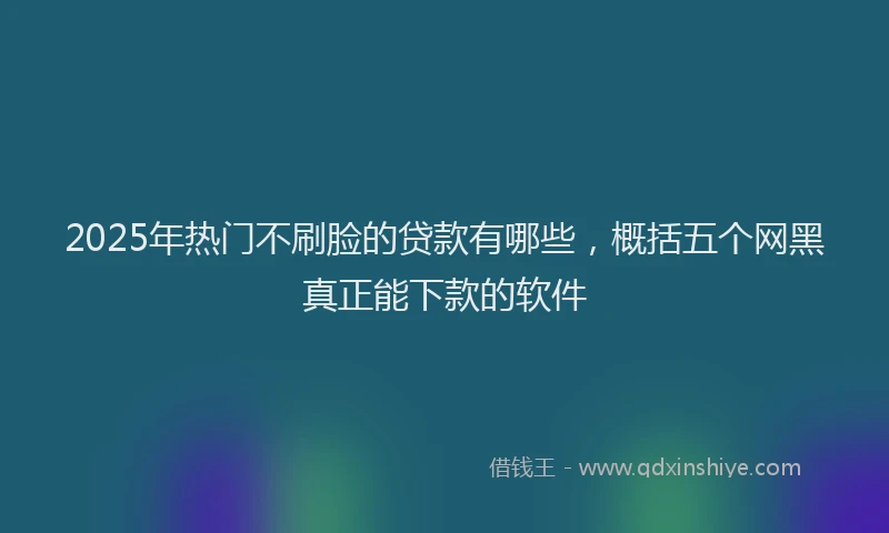 2025年热门不刷脸的贷款有哪些，概括五个网黑真正能下款的软件