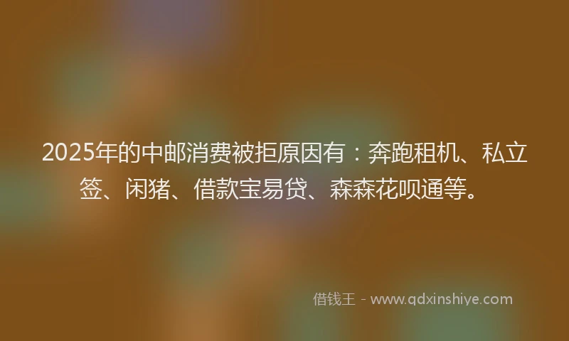 2025年的中邮消费被拒原因有：奔跑租机、私立签、闲猪、借款宝易贷、森森花呗通等。