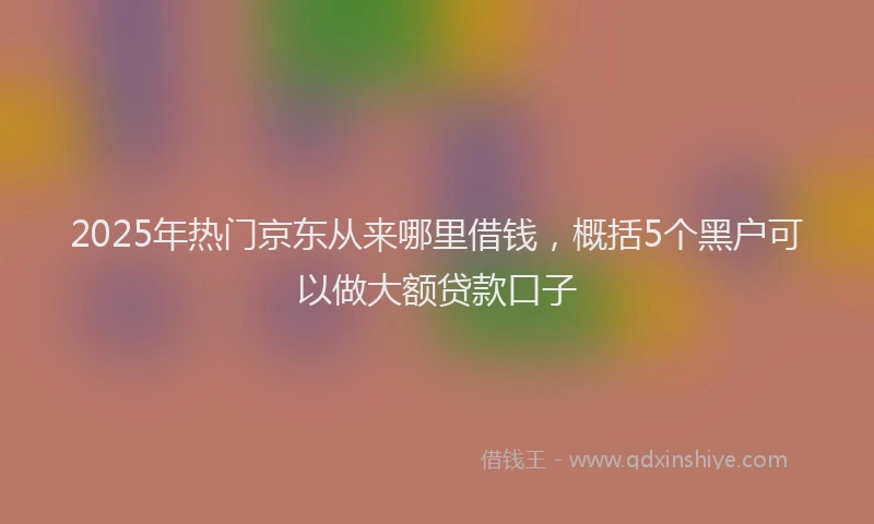 2025年热门京东从来哪里借钱，概括5个黑户可以做大额贷款口子