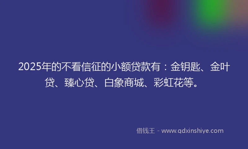 2025年的不看信征的小额贷款有：金钥匙、金叶贷、臻心贷、白象商城、彩虹花等。