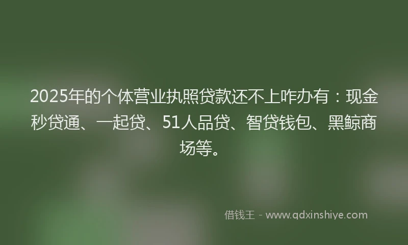2025年的个体营业执照贷款还不上咋办有：现金秒贷通、一起贷、51人品贷、智贷钱包、黑鲸商场等。