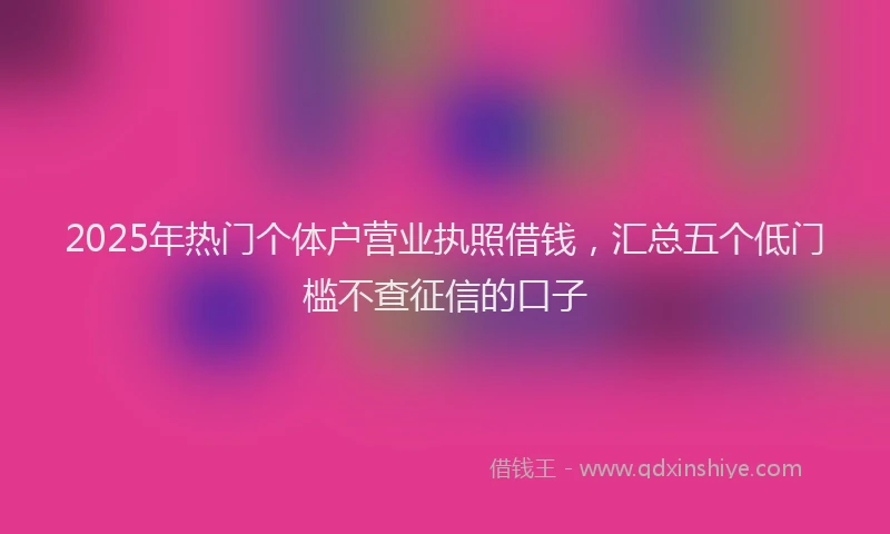 2025年热门个体户营业执照借钱，汇总五个低门槛不查征信的口子
