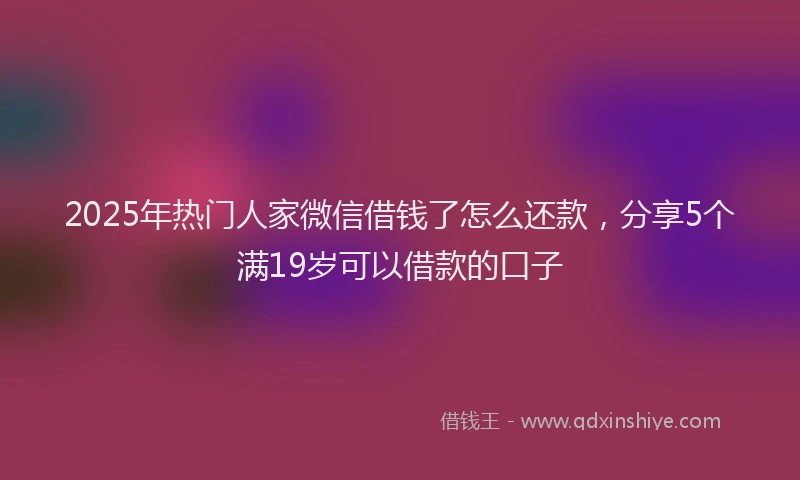 2025年热门人家微信借钱了怎么还款，分享5个满19岁可以借款的口子