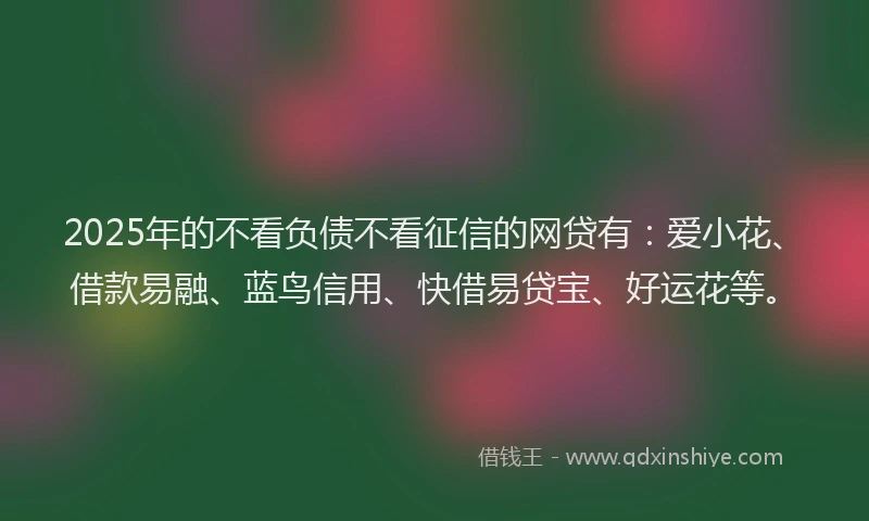 2025年的不看负债不看征信的网贷有：爱小花、借款易融、蓝鸟信用、快借易贷宝、好运花等。