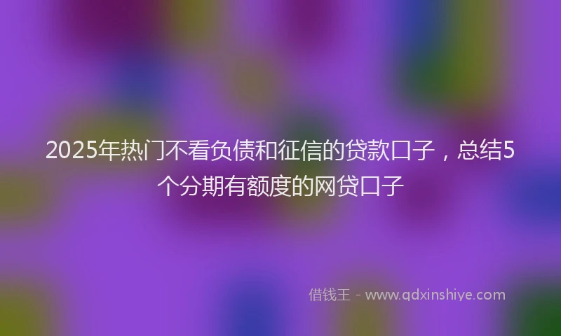 2025年热门不看负债和征信的贷款口子，总结5个分期有额度的网贷口子