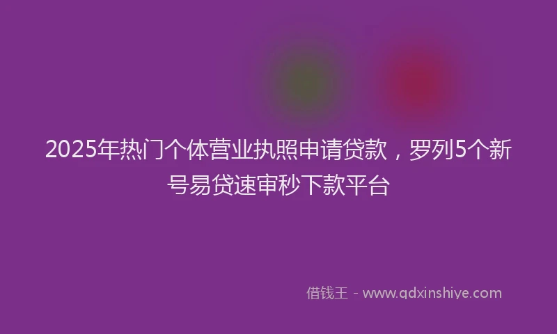 2025年热门个体营业执照申请贷款，罗列5个新号易贷速审秒下款平台