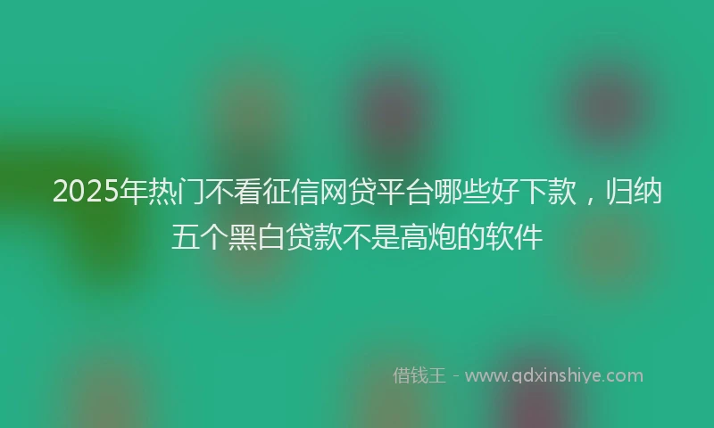2025年热门不看征信网贷平台哪些好下款，归纳五个黑白贷款不是高炮的软件