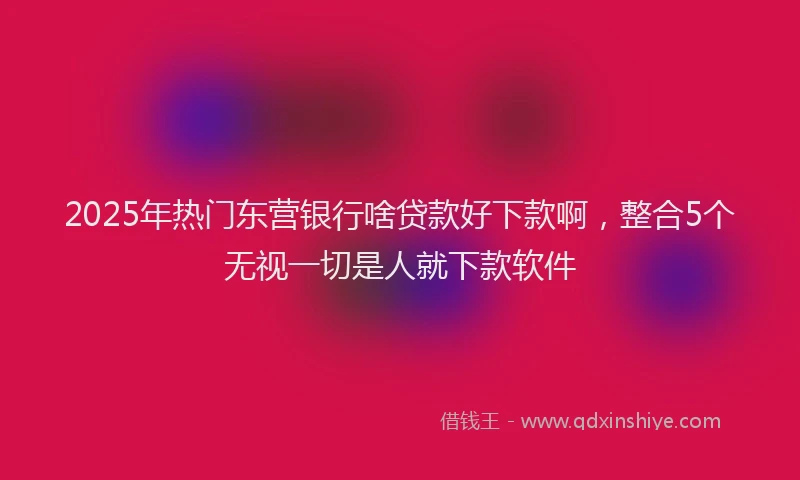 2025年热门东营银行啥贷款好下款啊，整合5个无视一切是人就下款软件