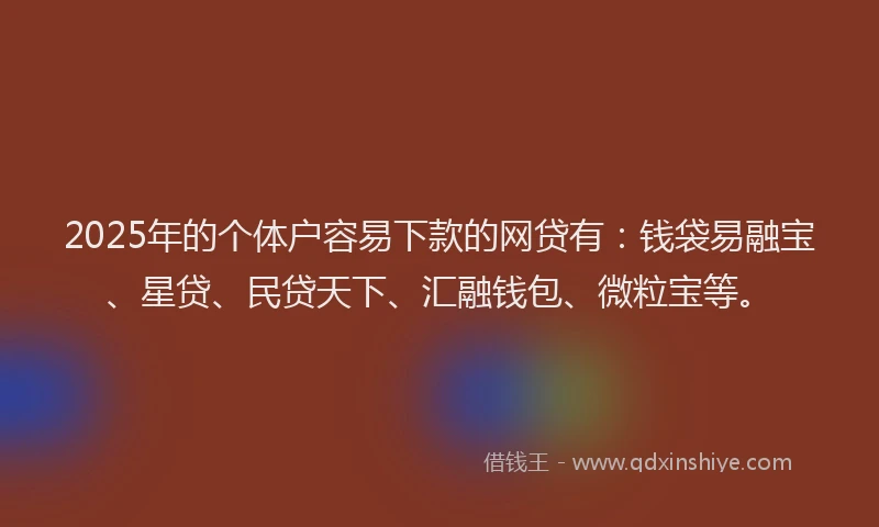 2025年的个体户容易下款的网贷有：钱袋易融宝、星贷、民贷天下、汇融钱包、微粒宝等。