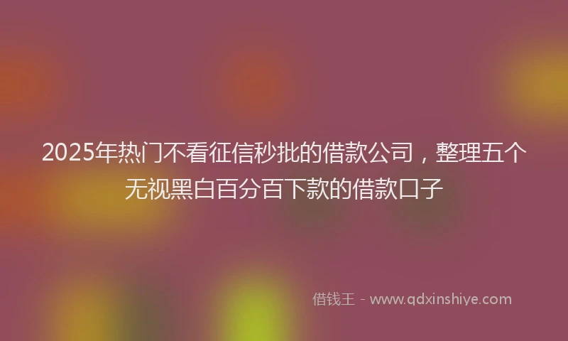2025年热门不看征信秒批的借款公司，整理五个无视黑白百分百下款的借款口子