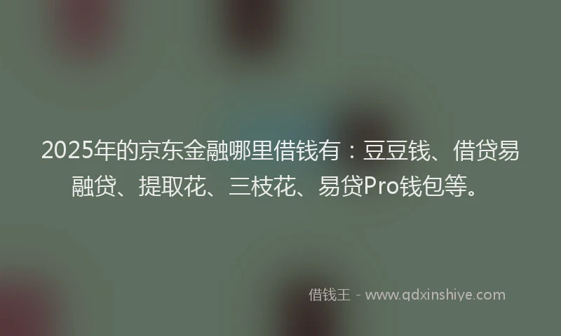 2025年的京东金融哪里借钱有：豆豆钱、借贷易融贷、提取花、三枝花、易贷Pro钱包等。