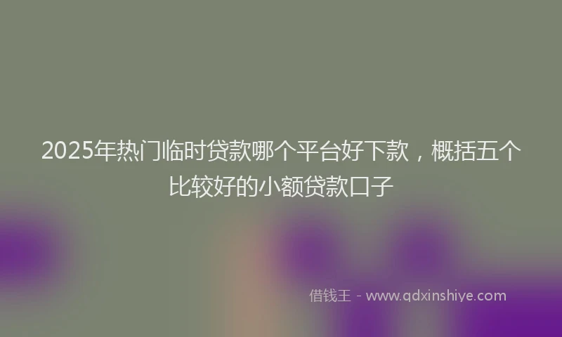 2025年热门临时贷款哪个平台好下款，概括五个比较好的小额贷款口子