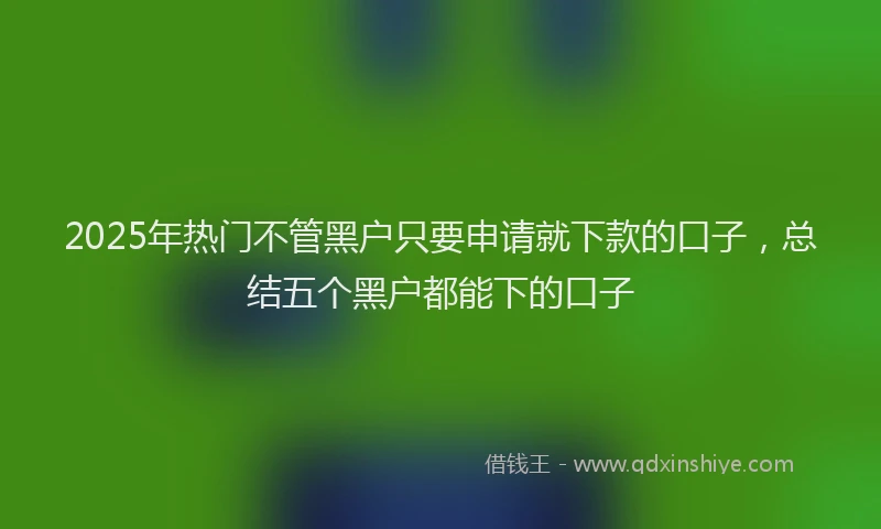 2025年热门不管黑户只要申请就下款的口子，总结五个黑户都能下的口子