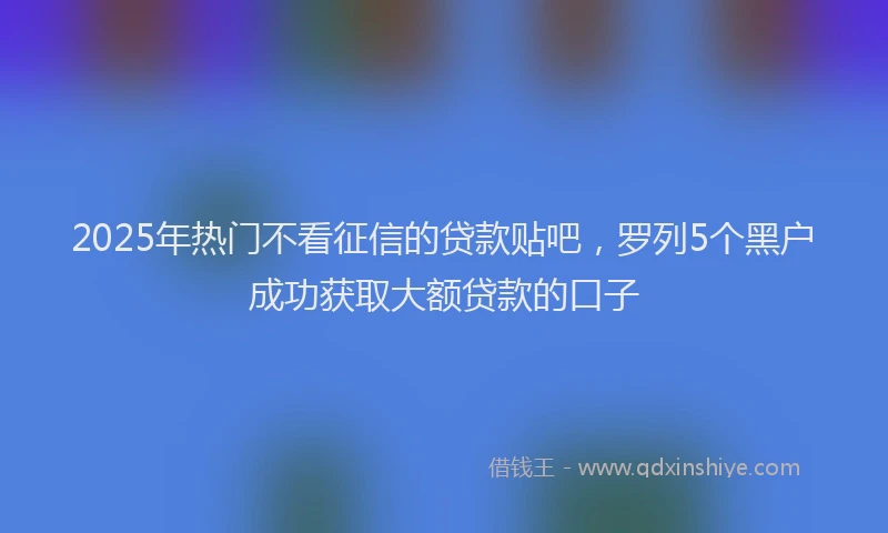2025年热门不看征信的贷款贴吧，罗列5个黑户成功获取大额贷款的口子