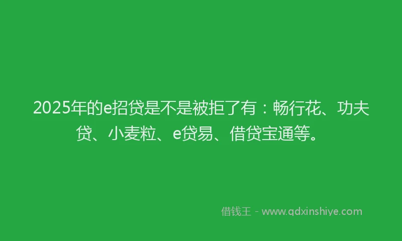 2025年的e招贷是不是被拒了有：畅行花、功夫贷、小麦粒、e贷易、借贷宝通等。