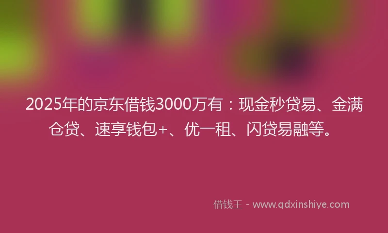 2025年的京东借钱3000万有：现金秒贷易、金满仓贷、速享钱包+、优一租、闪贷易融等。