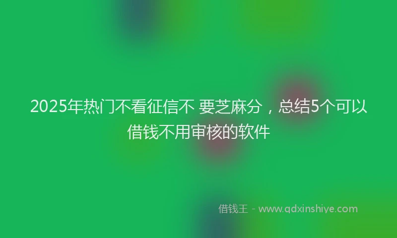 2025年热门不看征信不 要芝麻分，总结5个可以借钱不用审核的软件