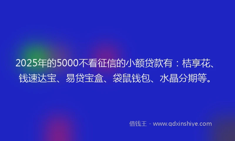 2025年的5000不看征信的小额贷款有：桔享花、钱速达宝、易贷宝盒、袋鼠钱包、水晶分期等。