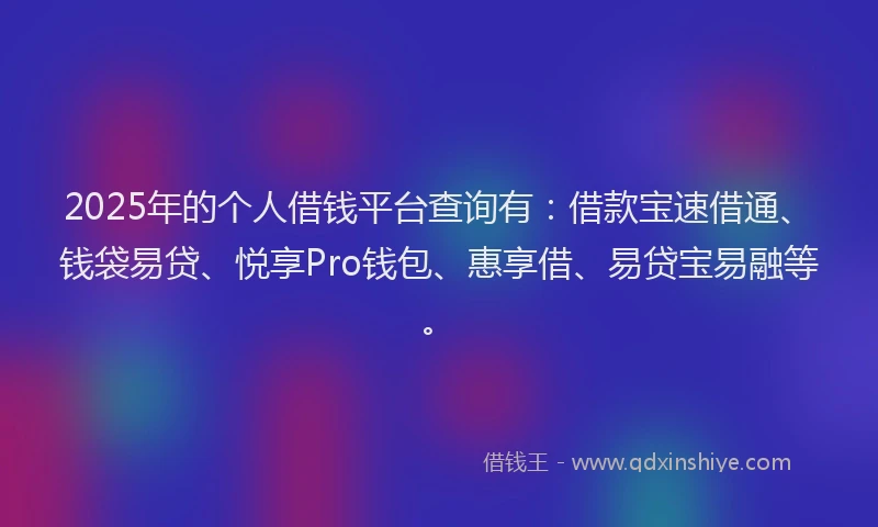 2025年的个人借钱平台查询有：借款宝速借通、钱袋易贷、悦享Pro钱包、惠享借、易贷宝易融等。