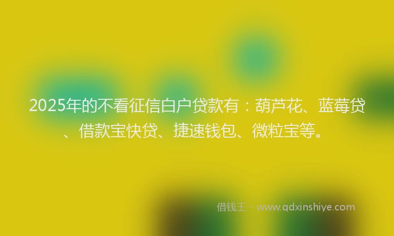 2025年的不看征信白户贷款有：葫芦花、蓝莓贷、借款宝快贷、捷速钱包、微粒宝等。