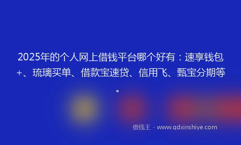 2025年的个人网上借钱平台哪个好有：速享钱包+、琉璃买单、借款宝速贷、信用飞、甄宝分期等。