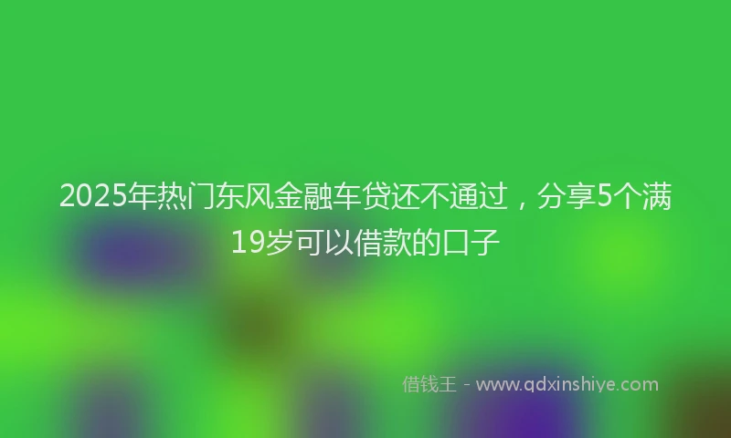 2025年热门东风金融车贷还不通过，分享5个满19岁可以借款的口子
