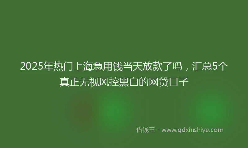 2025年热门上海急用钱当天放款了吗，汇总5个真正无视风控黑白的网贷口子