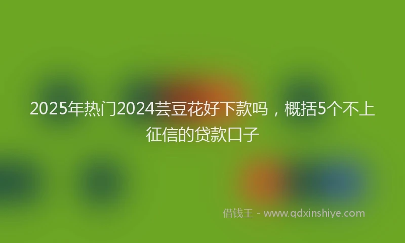2025年热门2024芸豆花好下款吗，概括5个不上征信的贷款口子