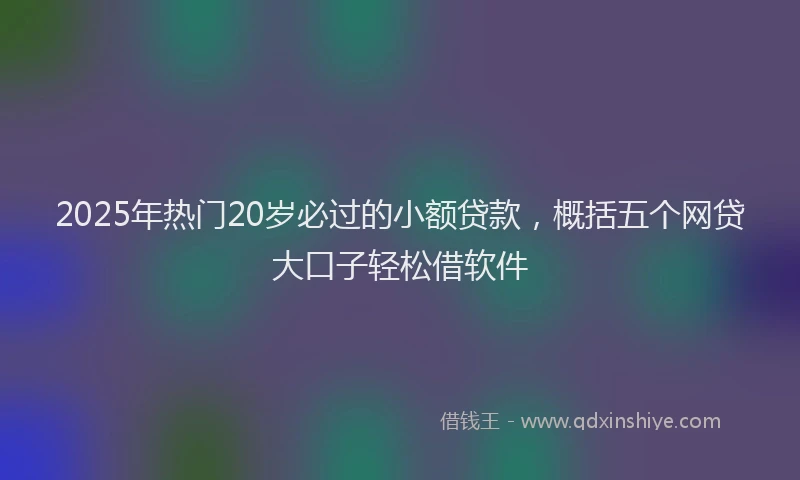 2025年热门20岁必过的小额贷款，概括五个网贷大口子轻松借软件