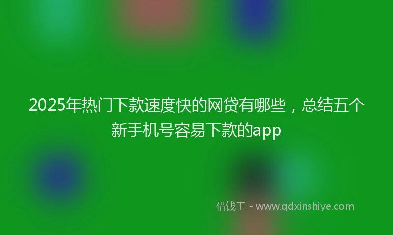 2025年热门下款速度快的网贷有哪些，总结五个新手机号容易下款的app