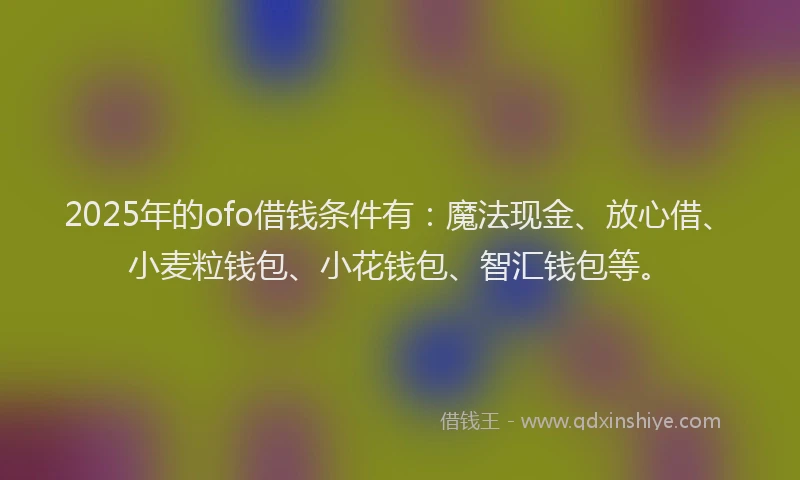 2025年的ofo借钱条件有：魔法现金、放心借、小麦粒钱包、小花钱包、智汇钱包等。