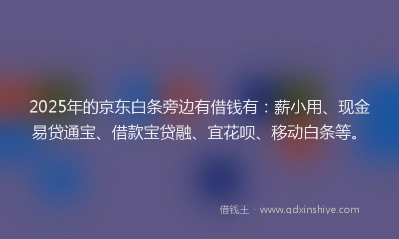 2025年的京东白条旁边有借钱有：薪小用、现金易贷通宝、借款宝贷融、宜花呗、移动白条等。