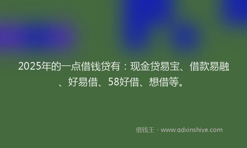 2025年的一点借钱贷有：现金贷易宝、借款易融、好易借、58好借、想借等。
